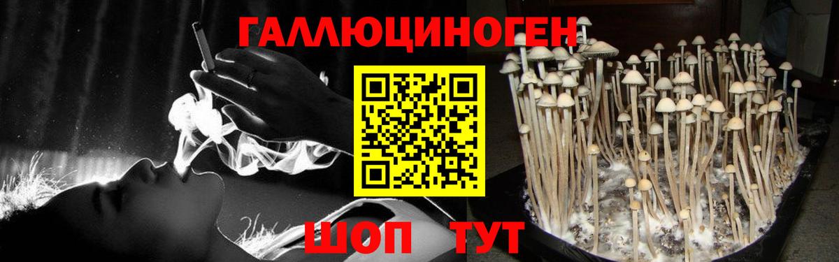 Псилоцибиновые грибы ЛСД  Вход с VPN  Рубцовск 